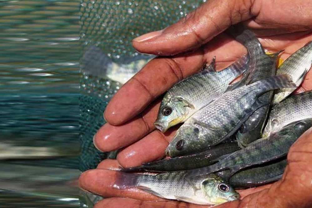 समर्पण, समानता और सेवा का सनातन प्रतीक हैं निषादराज