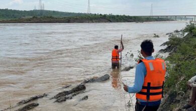एसडीईआरएफ तथा होमगार्ड की टीम ने सोन नदी में फसे गोवंश को सुरक्षित नदी पार कराया