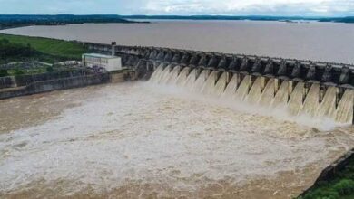 प्रदेश में सीजन की 45% बारिश, अटल सागर डैम के 6 गेट खोले गए, शिवपुरी में घरों में पानी भरा प्रदेश में सीजन की 45% बारिश, अटल सागर डैम के 6 गेट खोले गए, शिवपुरी में घरों में पानी भरा