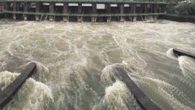 जुलाई के आखिरी में खुल सकते हैं भदभदा डैम के गेट, बड़ी झील में लगातार बढ़ रहा पानी जुलाई के आखिरी में खुल सकते हैं भदभदा डैम के गेट, बड़ी झील में लगातार बढ़ रहा पानी