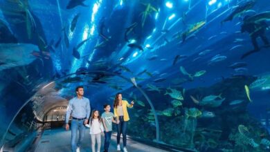 भोपाल में बन रहा 40 करोड़ का एक्वा पार्क, 3D इंटरेक्टिव जोन और वॉटर टनल से होगा रोमांच