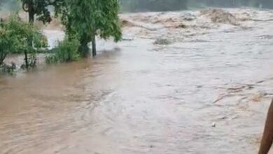 मध्यप्रदेश में तेज बारिश का दौर जारी, बाणसागर के 8, सतपुड़ा डैम के 5 गेट  खुले