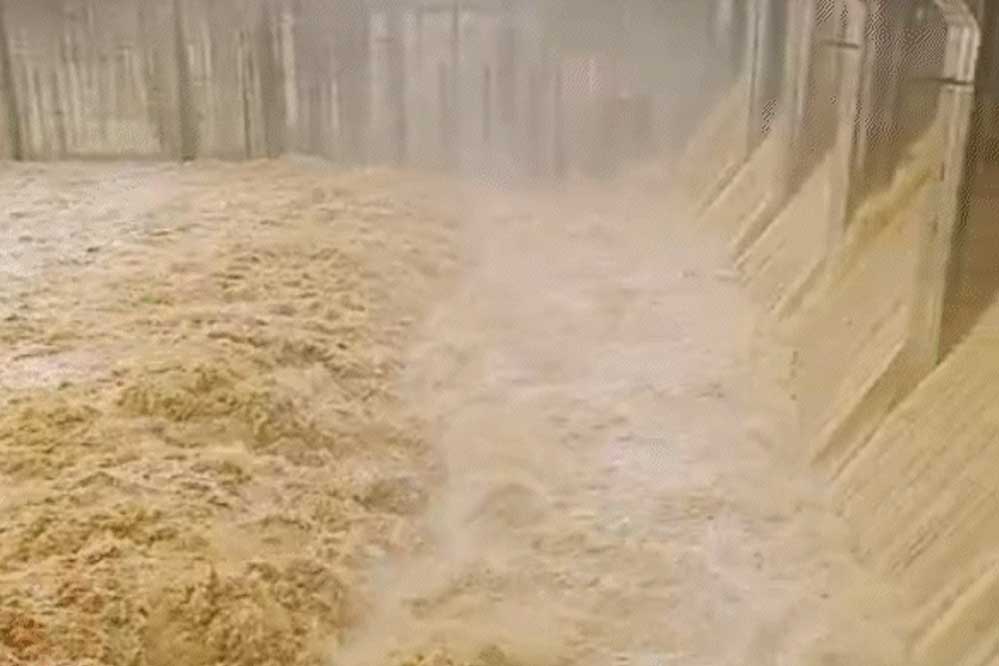 मूसलधार बारिश से बढ़ा जलस्तर: रनगुवां और कुटनी डैम के गेट खुले, कई जिलों में स्कूल बंद