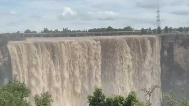 रीवा में वाटरफॉल्स में प्रशासन ने लगाई गई पटवारियों की ड्यूटी, क्योंटी और चचाई में रेलिंग नहीं