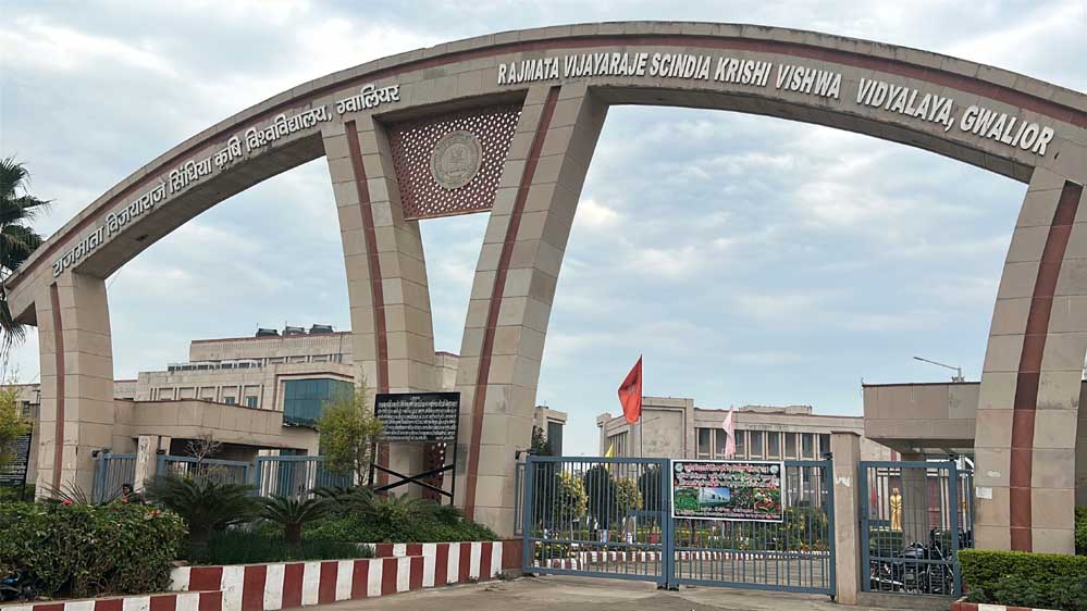 ग्वालियर : विजयाराजे सिंधिया कृषि विश्वविद्यालय बना ऑयल सीड हब, किसानों को मिलेगा खुद बीज उगाने का मौका