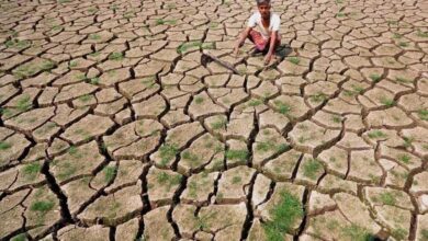अध्ययन में पता चला की प्रदेश के 10 जिलों में गंभीर सूखे का खतरा, गर्म दिनों की संख्या बढ़ने के चलते बनी स्थिति
