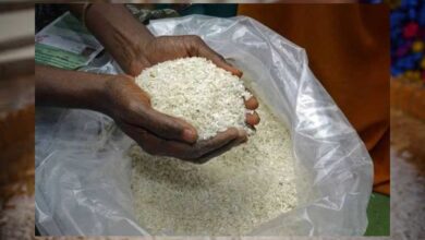 सरकार की 81 लाख राशनकार्ड धारियों को एक साथ तीन महीने का चावल बांटने की योजना फिलहाल अटकी, बढ़ाई समय-सीमा
