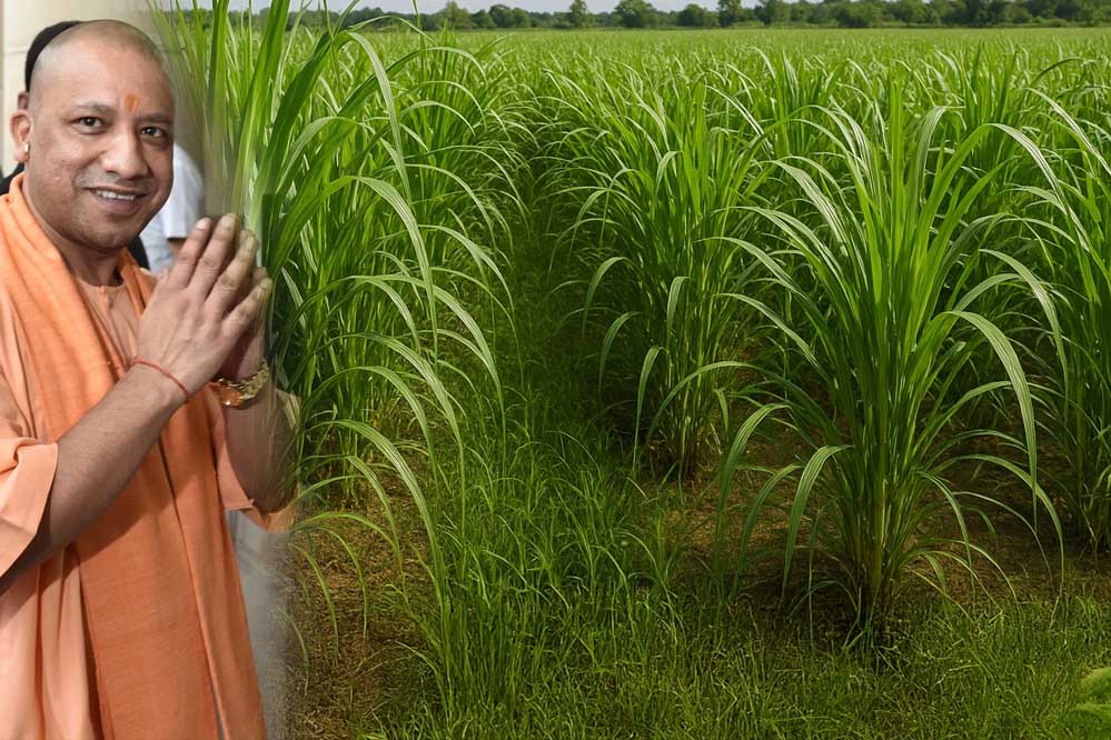 योगी सरकार किसानों की आय बढ़ाने के लिए एक नई योजना शुरू करने जा रही, 20000 रुपये प्रति हेक्टेयर देने की तैयारी