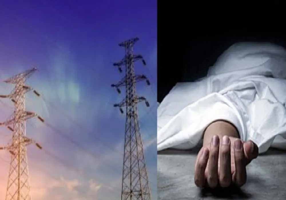 हाईटेंशन तार बना मौत का फंदा: मां-बेटे की मौके पर ही दर्दनाक मौत