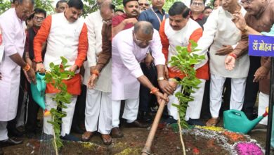 मानव संग्रहालय में 4000 पौधों का संकल्प: CM बोले- जहां चूके, वहां फिर से हरियाली उगाएंगे