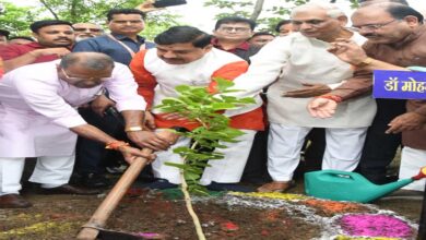 सुंदर-स्वच्छ और स्वस्थ पर्यावरण का उपहार है पौधरोपण – मुख्यमंत्री डॉ. यादव
