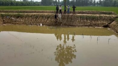 सीहोर में जल संरक्षण की बड़ी पहल: 1491 खेत तालाब और 2519 डगवेल रिचार्ज से बदले हालात