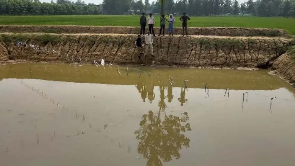 सीहोर में जल संरक्षण की बड़ी पहल: 1491 खेत तालाब और 2519 डगवेल रिचार्ज से बदले हालात सीहोर में जल संरक्षण की बड़ी पहल: 1491 खेत तालाब और 2519 डगवेल रिचार्ज से बदले हालात