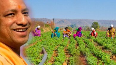 योगी सरकार का बड़ा फैसलाअब कृषि श्रमिकों को हर महीने मिलेंगे 6552 रुपये…