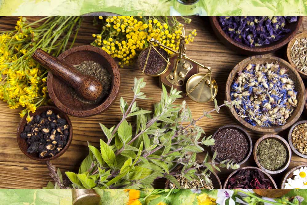 प्रदेश के 18 आयुर्वेद कॉलेजों को मिली मान्यता, 3 हजार सीटें,16 आयुर्वेद कॉलेजों की मान्यता पर निर्णय बाकी प्रदेश के 18 आयुर्वेद कॉलेजों को मिली मान्यता, 3 हजार सीटें,16 आयुर्वेद कॉलेजों की मान्यता पर निर्णय बाकी