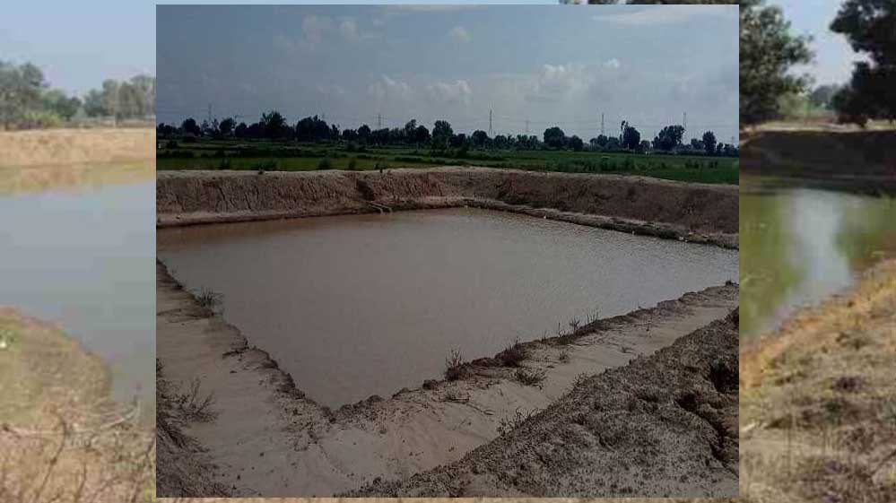 मध्यप्रदेश में जल क्रांति, बढ़ेगा सिंचाई का रकबा और भू-जल स्तर में होगी वृद्धि