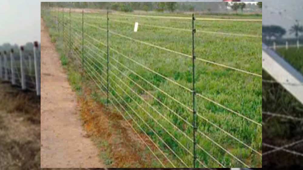 जानवरों से फसल की सुरक्षा के लिये खेत पर जाली लगाने का आधा खर्च सरकार वहन करेगी जानवरों से फसल की सुरक्षा के लिये खेत पर जाली लगाने का आधा खर्च सरकार वहन करेगी
