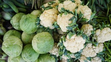 मानसून आते ही सब्जियों के दाम बढ़े, फूल गोभी और गिलकी 120 रुपये किलो