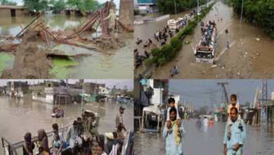 पाकिस्तान में बारिश का कहर: अब तक 221 लोगों की मौत, हालात बदतर