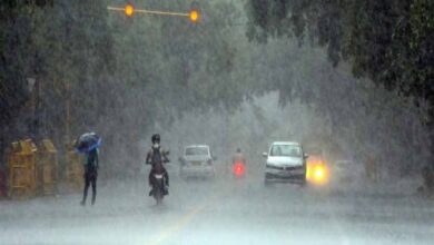 इन इलाकों में होगी झमाझम बारिश, अगले 48 घंटों के लिए अलर्ट जारी इन इलाकों में होगी झमाझम बारिश, अगले 48 घंटों के लिए अलर्ट जारी