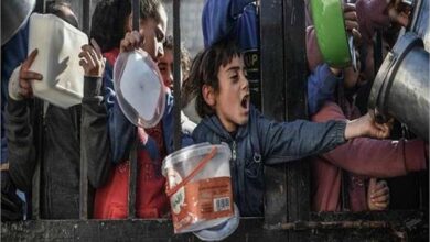 गाजा में भूख बनी मौत का कारण! राशन की लाइन में 82 फिलीस्तीनियों की गई जान