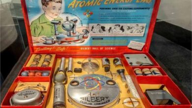 इतना डरावना कि एक साल में ही हो गया बैन, दुनिया का सबसे खौफनाक खिलौना!