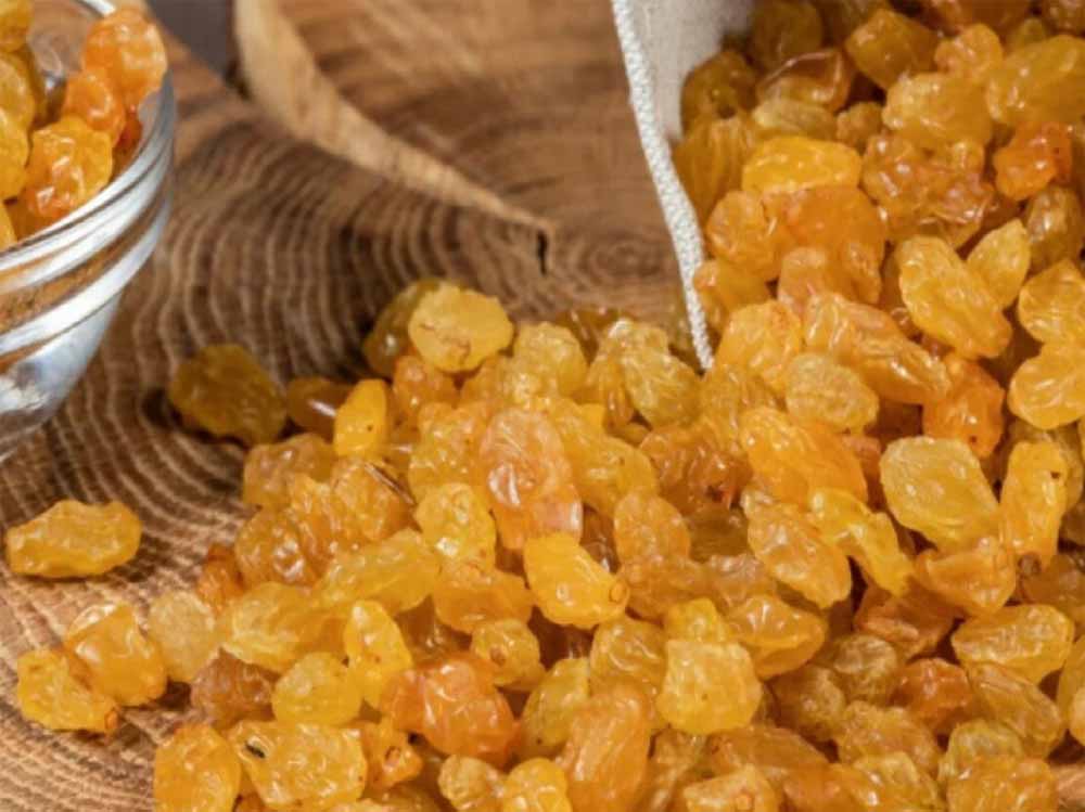 गोल्डन किशमिश में छिपा ज़हर! जानिए क्यों लौटाए गए ये प्रोडक्ट