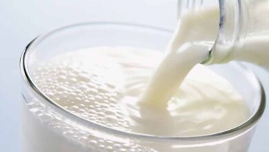 प्रदेश के 50 प्रतिशत ग्रामों को जोड़ेंगे दुग्ध नेटवर्क से : मुख्यमंत्री डॉ. यादव