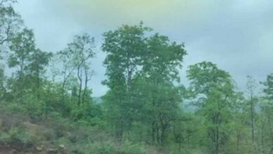 मध्य प्रदेश में दो-तीन दिन नहीं बरसेगा पानी, मौसम रहेगा शांत