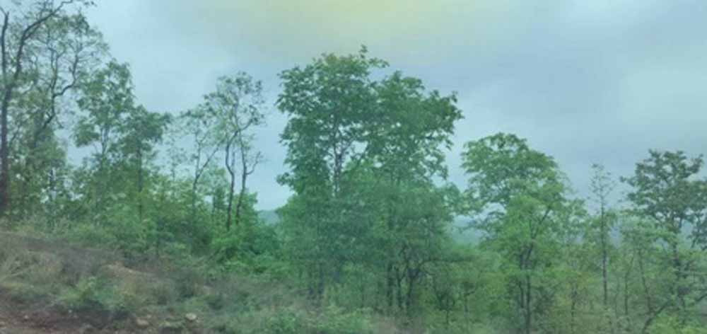 मध्य प्रदेश में दो-तीन दिन नहीं बरसेगा पानी, मौसम रहेगा शांत