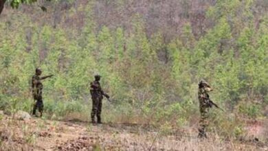 छत्तीसगढ़ के सुकमा से 05 लाख की इनामी महिला नक्सली गिरफ्तार