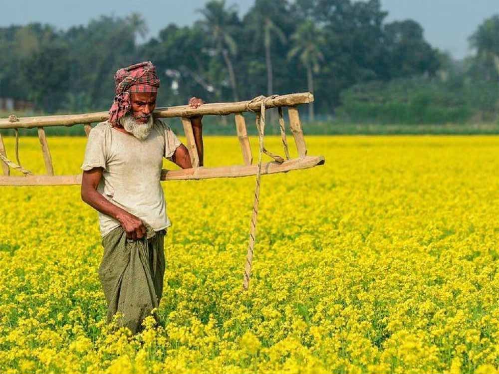 PM किसान: 20वीं किस्त पर कृषि मंत्रालय का बड़ा अपडेट, जानें कब आएगा पैसा