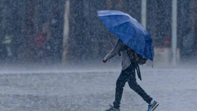 उत्तर बस्तर कांकेर : जिले में अब तक 4020 मिलीमीटर वर्षा दर्ज