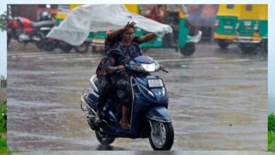 प्रदेश में सक्रिय हुआ मानसून, 36 जिलों में भारी बारिश का अलर्ट – नदियां उफान पर