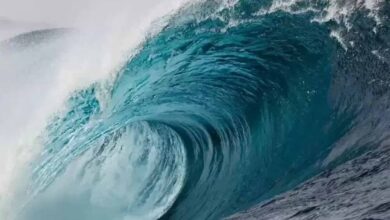 रूस में दहशत: एक घंटे में 5 बार कांपी धरती, 7.4 तीव्रता के झटके के बाद सुनामी अलर्ट रूस में दहशत: एक घंटे में 5 बार कांपी धरती, 7.4 तीव्रता के झटके के बाद सुनामी अलर्ट