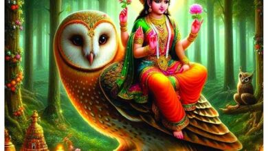 मां लक्ष्मी का वाहन उल्लू देता है भविष्य के संकेत, समझें इशारे