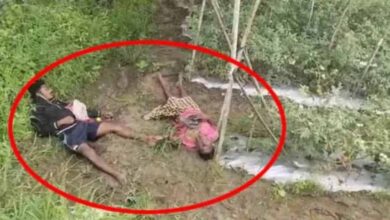टमाटर चोरी करने पहुंचे पिता-पुत्र की करंट लगने से दर्दनाक मौत