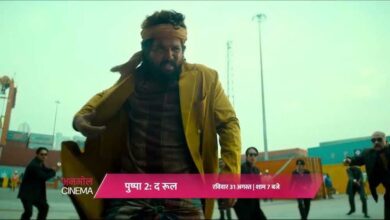 अनमोल सिनेमा पर 31 अगस्त को होगा ‘पुष्पा 2 : द रूल’ का प्रीमियर