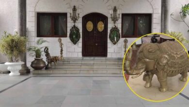 सरगुजा राजपरिवार के कोठीघर से पीतल की हाथी मूर्ति चोरी, CCTV में कैद हुआ चोर