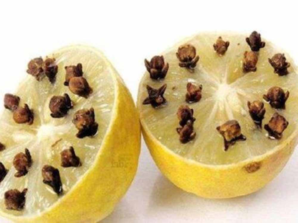 नींबू के जादुई उपाय: घर में भरें पॉजिटिव ऊर्जा