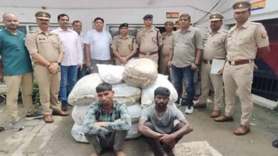 ट्रक की केबिन में छिपा रखा था 50 लाख का अफीम डोडा, दो तस्कर धराए