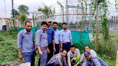 औषधि वाटिका विकास के लिए एम.पी. ट्रांसको में पौधारोपण औषधि वाटिका विकास के लिए एम.पी. ट्रांसको में पौधारोपण