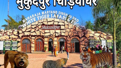 मुकुंदपुर टाइगर रिजर्व को रीवा में शामिल करने पर MP में सियासी हलचल