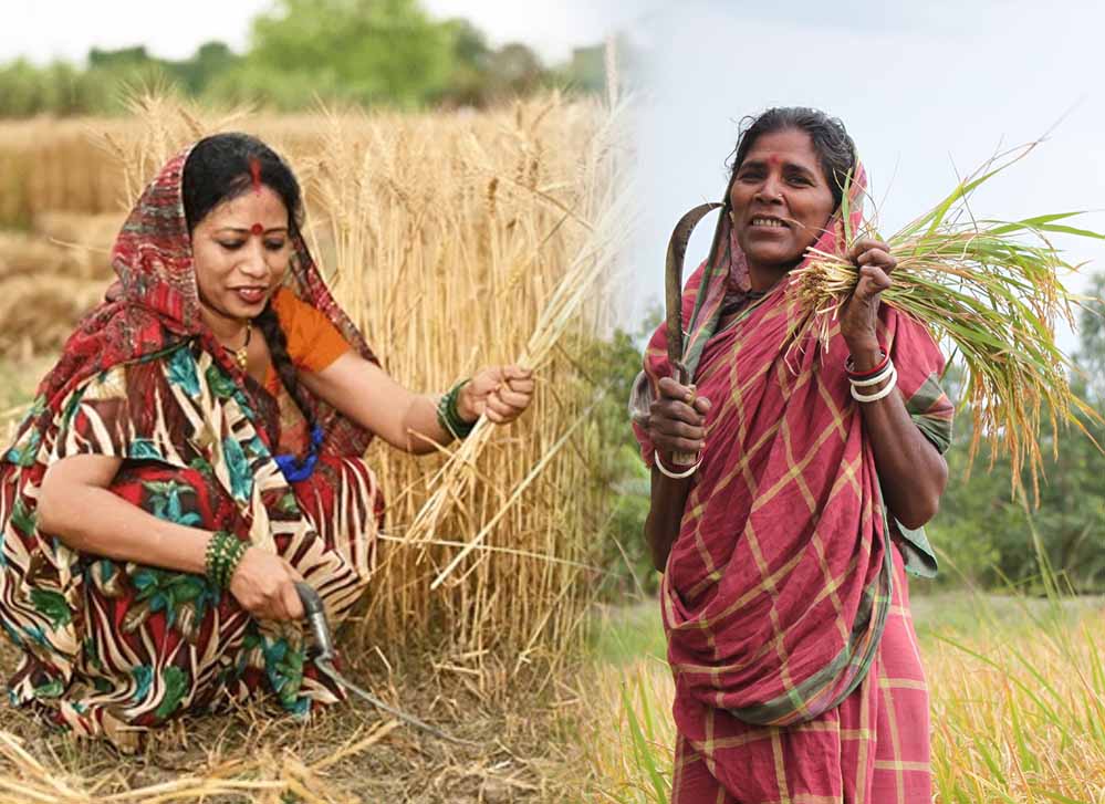 मध्य प्रदेश में समर्थन मूल्य पर अनाज खरीदी को आसान बनाने के लिए गोडाउन को मिले खरीदी केंद्रों की प्राथमिकता