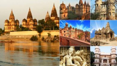 म.प्र. के पर्यटन स्थलों ने वैश्विक पटल पर बनाई पहचान, देश-विदेश के पर्यटकों को भा रहा है मध्यप्रदेश