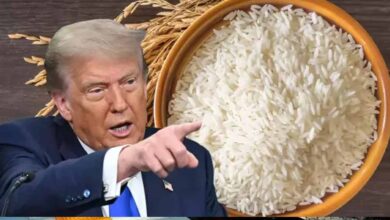 ₹48 लाख की चावल डील अटकी, एशियाई देश ने ट्रंप को दिया बड़ा झटका