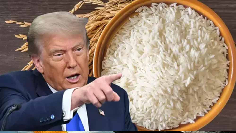 ₹48 लाख की चावल डील अटकी, एशियाई देश ने ट्रंप को दिया बड़ा झटका ₹48 लाख की चावल डील अटकी, एशियाई देश ने ट्रंप को दिया बड़ा झटका
