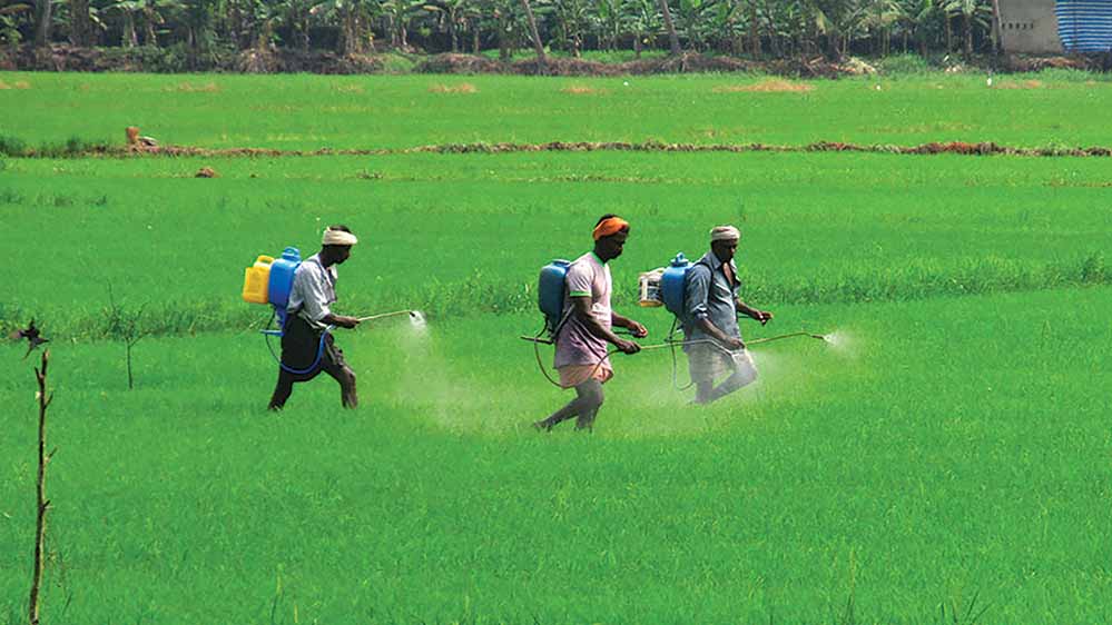 छत्तीसगढ़ में रासायनिक खाद पर्याप्त, किसानों को नैनो खाद के उपयोग के लिए किया जा रहा जागरूक छत्तीसगढ़ में रासायनिक खाद पर्याप्त, किसानों को नैनो खाद के उपयोग के लिए किया जा रहा जागरूक