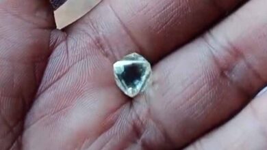 पन्ना में मिला 4.90 कैरेट का नायाब हीरा, कीमत 10 लाख और नीलामी में लगेगी बोली पन्ना में मिला 4.90 कैरेट का नायाब हीरा, कीमत 10 लाख और नीलामी में लगेगी बोली