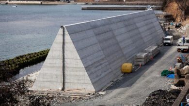 क्या समुद्री दीवारें रोक पाएंगी विनाश? जापान का सुनामी से जंग का नया तरीका